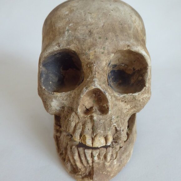 2006 DISNEY PIRATES OF THE CARIBBEAN OFFICIAL MOVIE FILM PROP PELEGOSTO SKULL - Picture 6 of 15